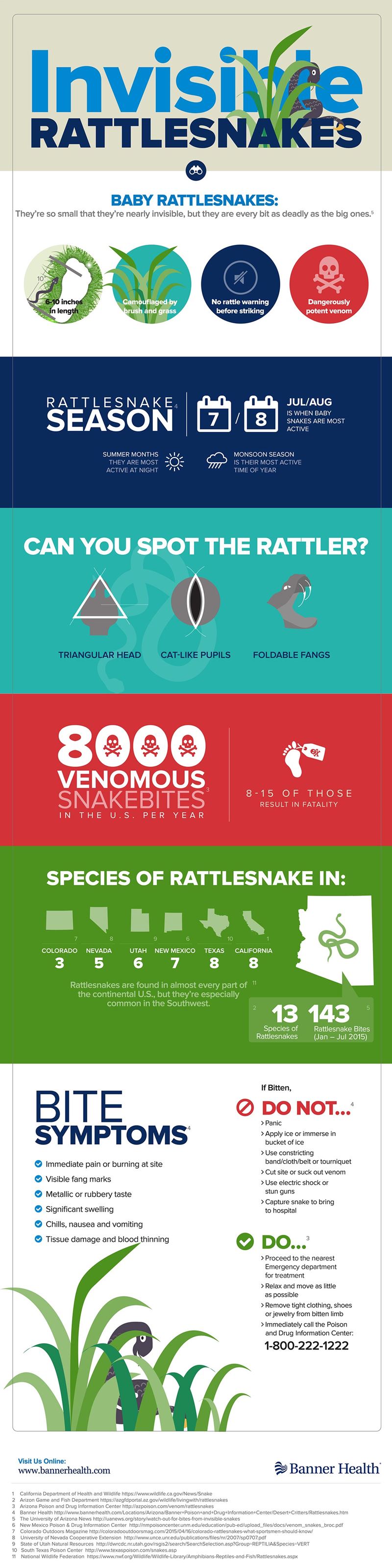 invisible-rattlesnakes-infographic-2017
