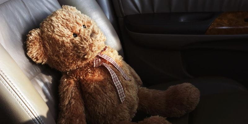 teddy-bear-in-car-seat