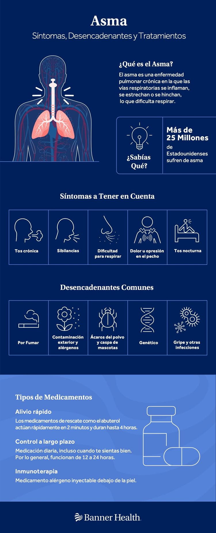 Asma Spanish Infographic