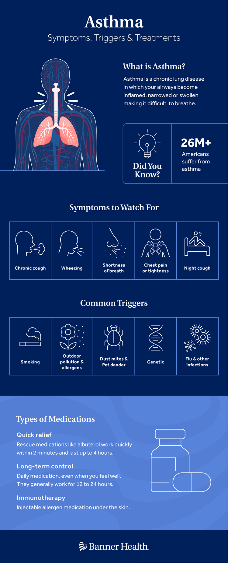 Asthma symptoms triggers treatment Infographic