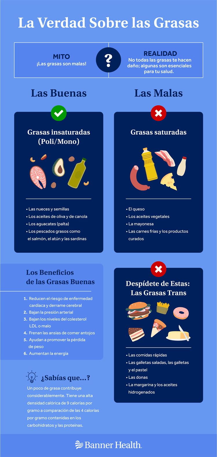 Get the Skinny on the Fats Infographic Spanish