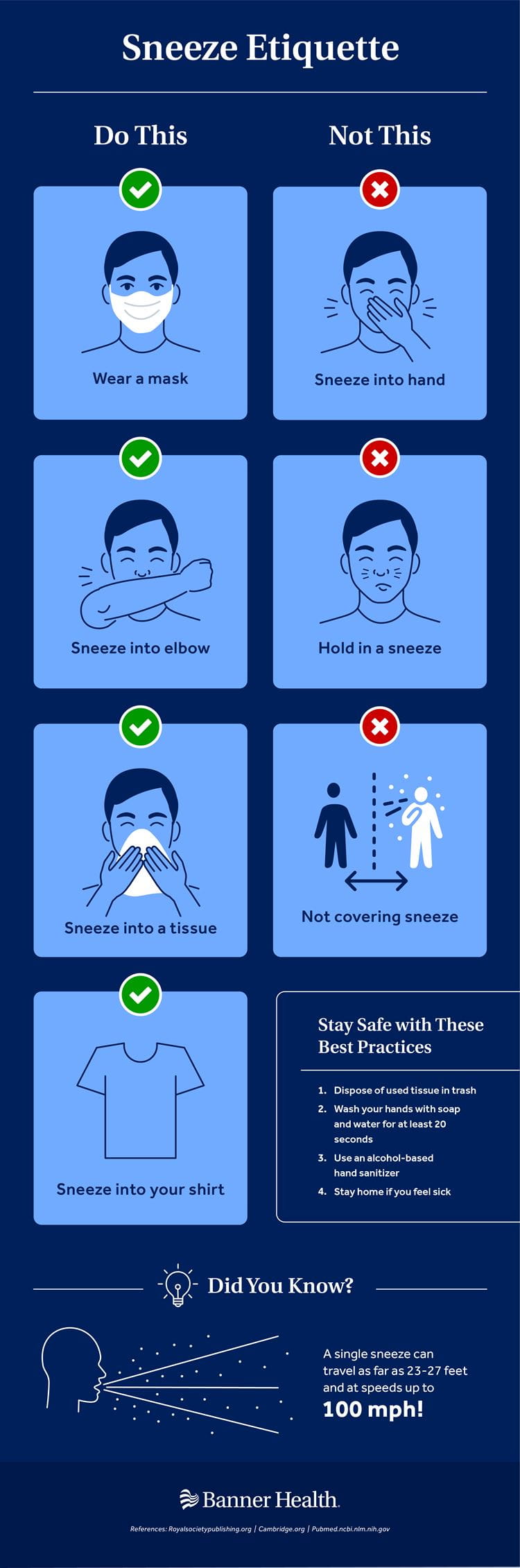 Sneeze Etiquette Infographic