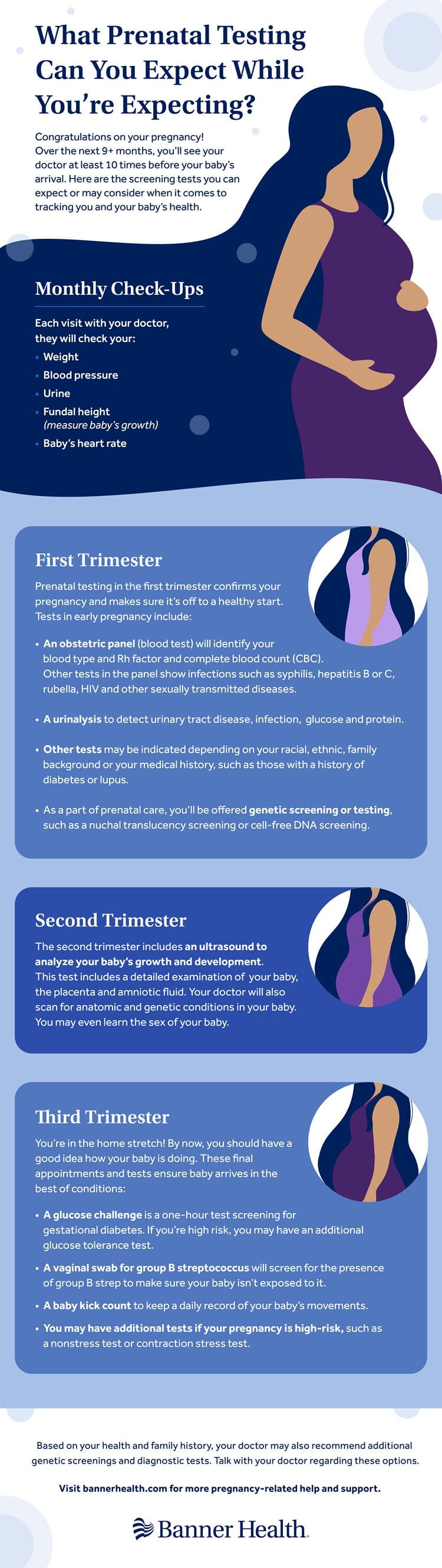 Prenatal Tests to Expect by Trimester Infographic