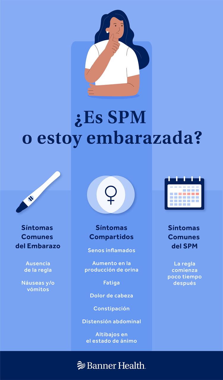 PMS or Pregnant Infographic Spanish