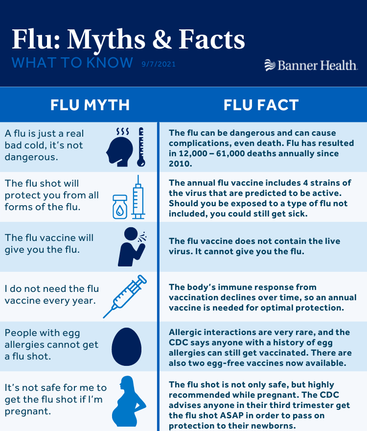 Flu Myths Debunked 2021 Infographic