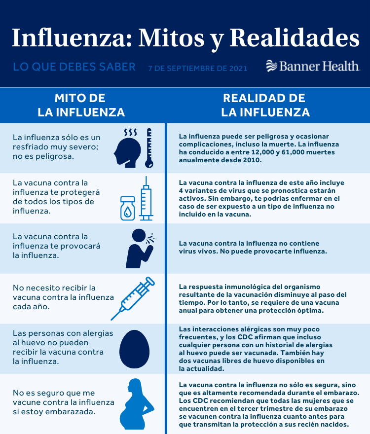 Influenza Mitos y Realidades Infographic