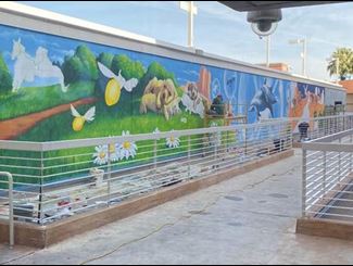 Diamond Children's mural